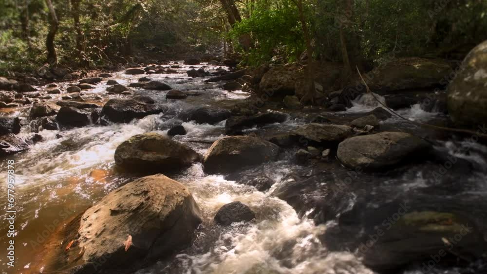 Water flows over the rocks of a stream in the tropical jungle of Asia in 4K video with dim lighting. according to the nature of the forest Water flows over the rocks of a stream in the tropical jungle of Asia in 4K video with dim lighting. according to the nature of the forest