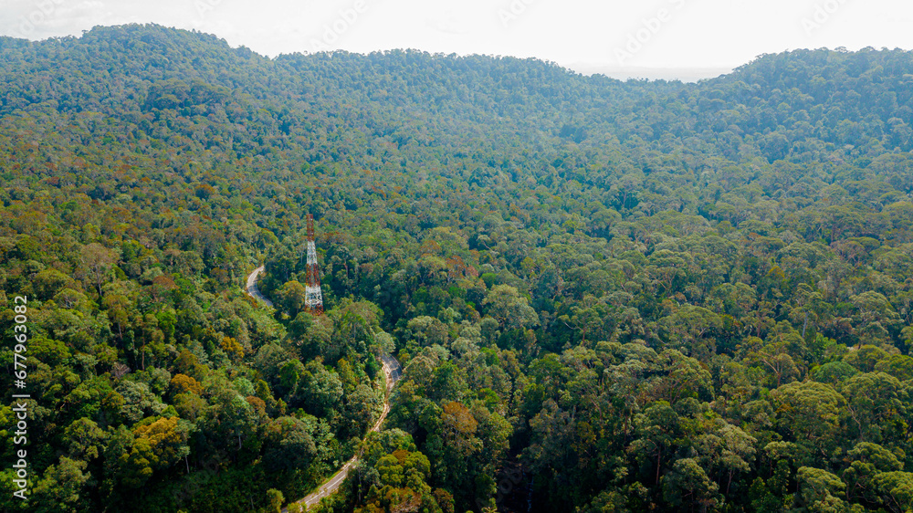 Fototapeta premium Aerial drone view of lush green view of forest trees scenery at Endau Rompin State Park in Kaula Rompin, Pahang, Malaysia
