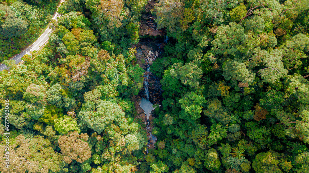Naklejka premium Aerial drone view of green tropical jungle with a small waterfall in Endau Rompin State Park, Pahang, Malaysia