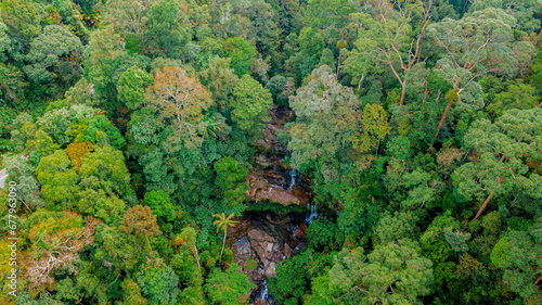 Aerial drone view of green lush jungle with a small waterfall in Endau Rompin State Park, Pahang, Malaysia