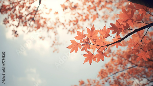 autumn leaf fall, falling leaves on the background of a light blue autumn sky, yellow and red leaves flying from the sky, view up © kichigin19