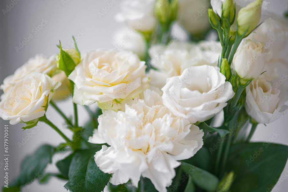 Obraz premium Flower white macro close up beautiful flowers