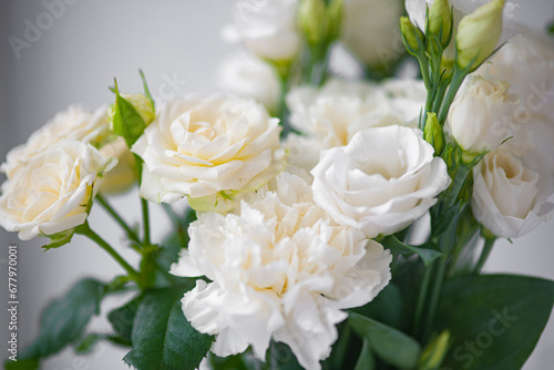 Flower white macro close up beautiful flowers