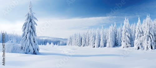In winter the snow covered landscape transforms the forest into a stunning natural masterpiece where the beauty of the trees mountains and greenery of nature are blanketed in a pristine whi photo