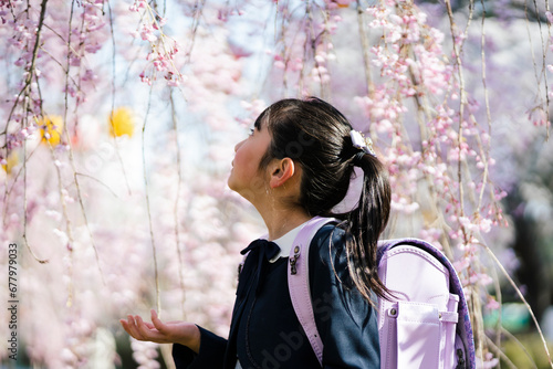 桜を見る小学生の女の子 photo