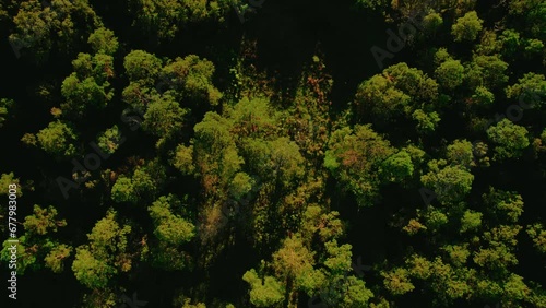 Cinematic aerial revealing beautiful Rest Area for semi trucks, Sunset Florida photo