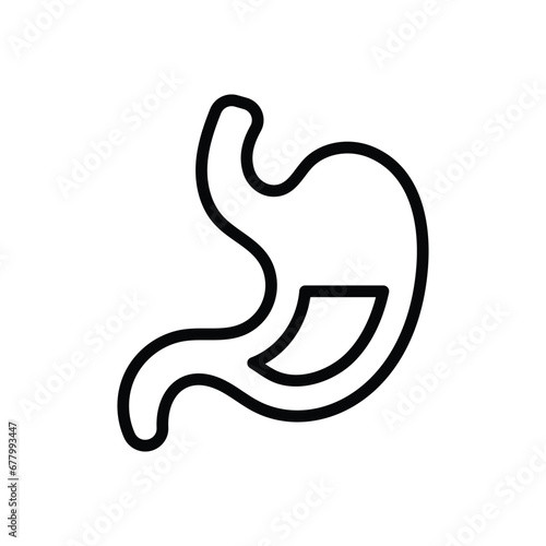 Stomach icon isolate white background vector stock illustration.