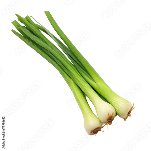 leeks isolated on transparent background,transparency 