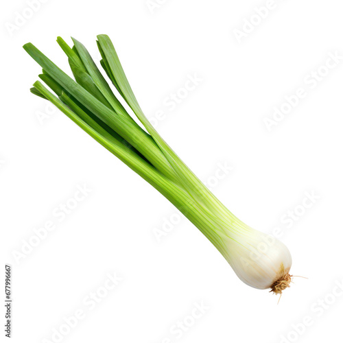leeks isolated on transparent background,transparency 