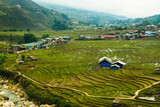  landscape terraced rice field near Sapa, Vietnam