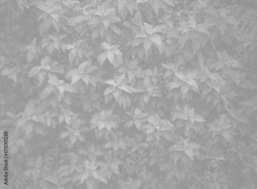 wildlife leaves pattern background on forest