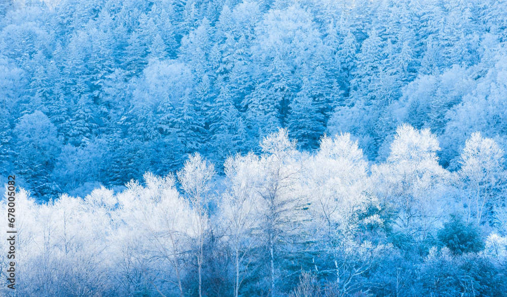 Fog and ice , Japan,Nagano Prefecture,Shimotakai-gun,Yamanouchi, Nagano December 2015 Fog and ice , Japan,Nagano Prefecture,Shimotakai-gun,Yamanouchi, Nagano December 2015