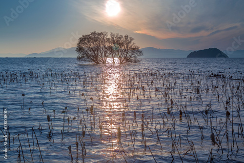 Sunset at Kohoku Town , Japan,Shiga Prefecture,Nagahama, Shiga,Kohoku, Shiga December 2017 photo