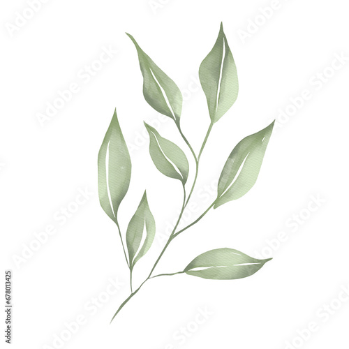 Watercolor illustration of green branch with leaves