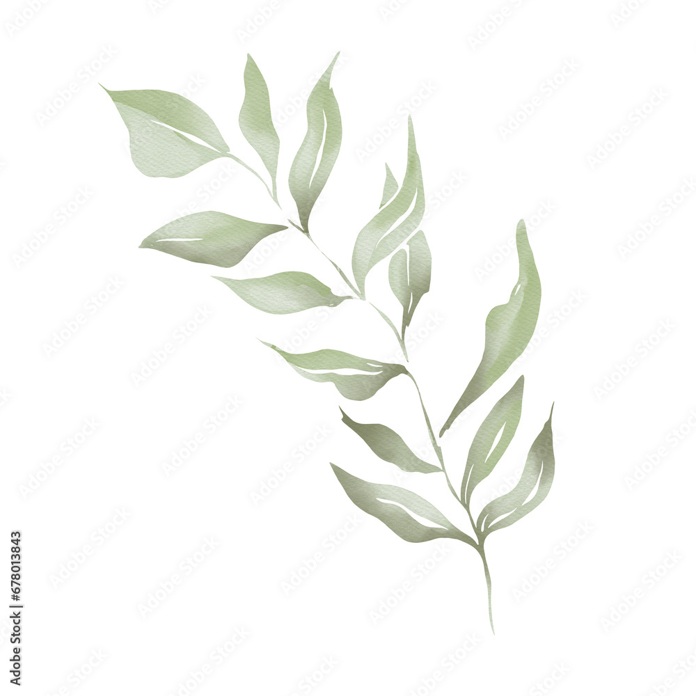 Watercolor illustration of green branch with leaves