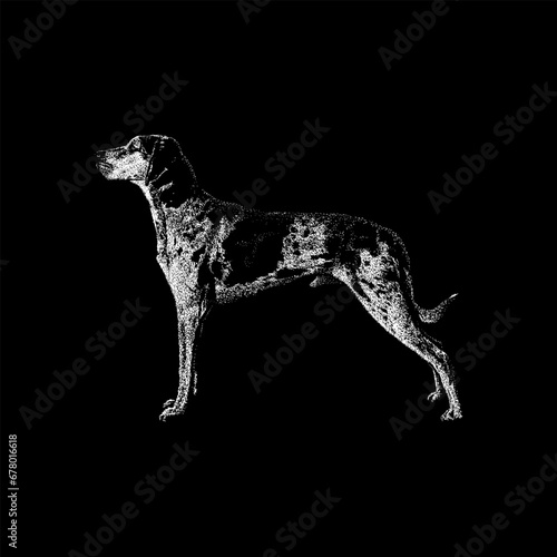Catahoula Leopard Dog hand drawing vector isolated on black background.