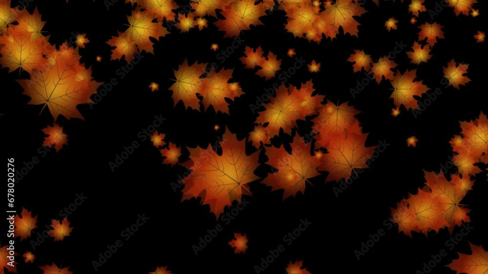maple autumn leaves background with transparent background