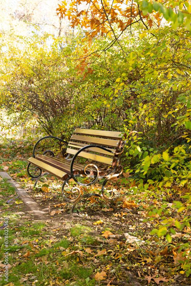 Wooden bench among the bushes