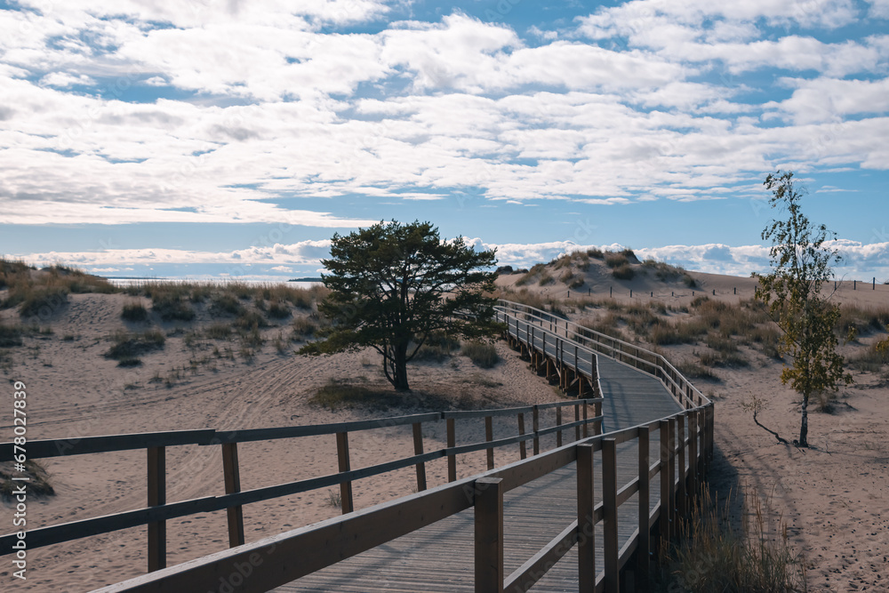Fototapeta premium wooden path in sand dunes against a cloudy sky