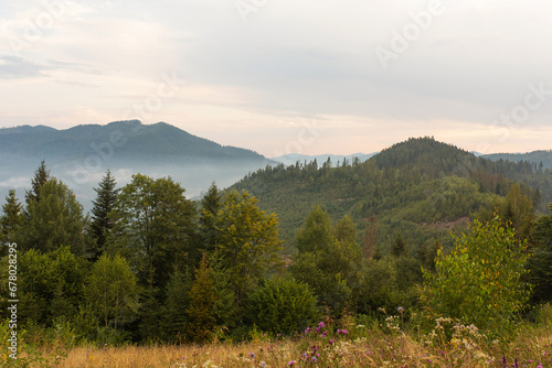 The mountain landscape in the early summer morning