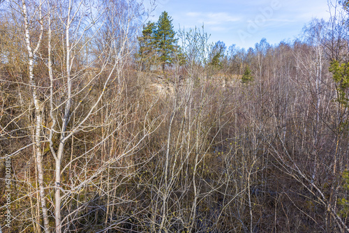 Fototapeta Naklejka Na Ścianę i Meble -  Old quarry overgrown with trees