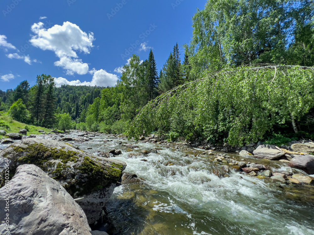 A swift stream of clean clear water flowing through stone boulders. Mountain river in the wild. Beautiful view of the picturesque river. A swift stream of clean clear water flowing through stone boulders. Mountain river in the wild. Beautiful view of the picturesque river.