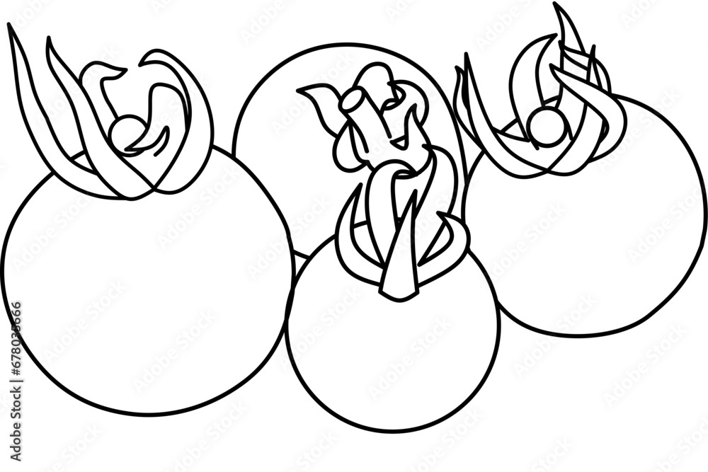Tomatoes line art illustration. Outline graphic. Minimalist tattoo black and white. Tomatoes line art illustration. Outline graphic. Minimalist tattoo black and white.