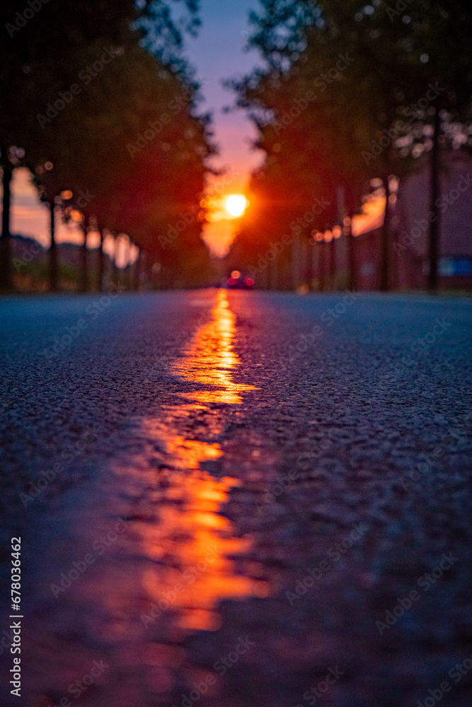 This picturesque scene features the sun rising over an open asphalt road, set in the European countryside. The image perfectly captures the tranquil beauty of a sunny morning or evening, reflecting