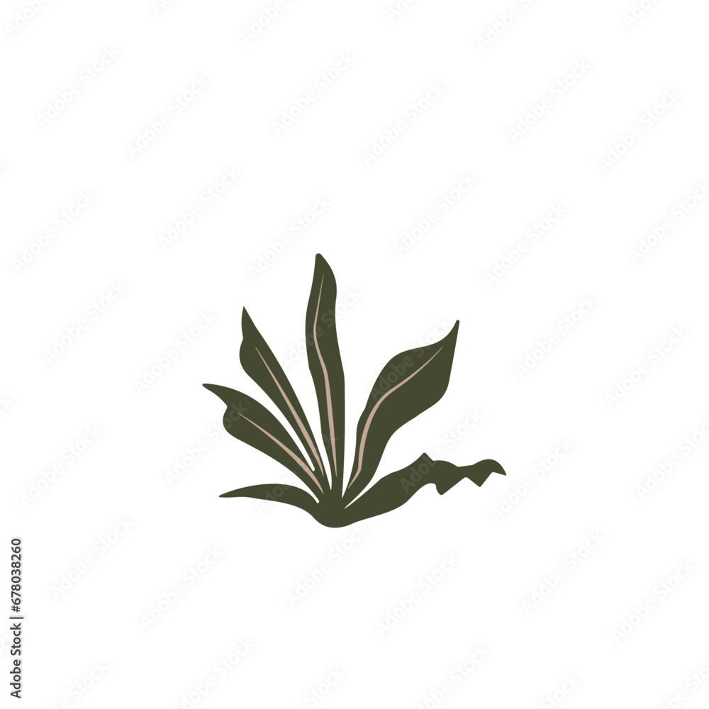 flower and tropical leave vector set flower and tropical leave vector set