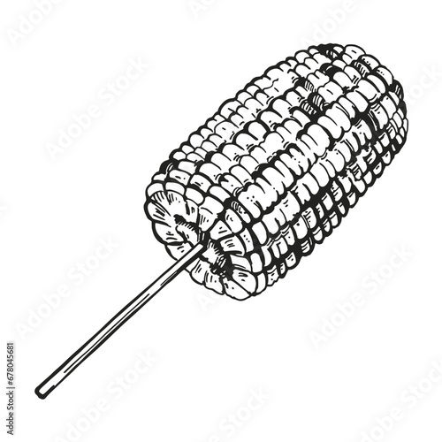 Hand drawn vector sketch of baked sweet corn, grilled corn ear, black and white illustration of maize ear of corn, inked illustration isolated on white background