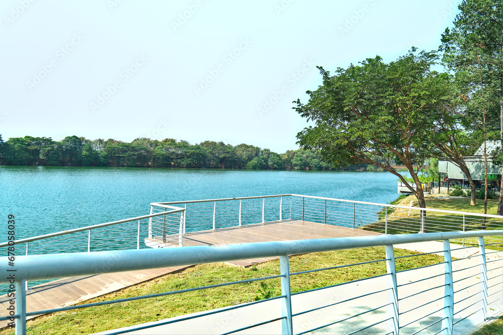 view of the lake with the pier and tree.
