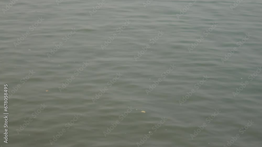 A serene and captivating scene is captured in slow motion, showcasing the calm and undisturbed flow of water, creating a mesmerizing visual experience. A serene and captivating scene is captured in slow motion, showcasing the calm and undisturbed flow of water, creating a mesmerizing visual experience.
