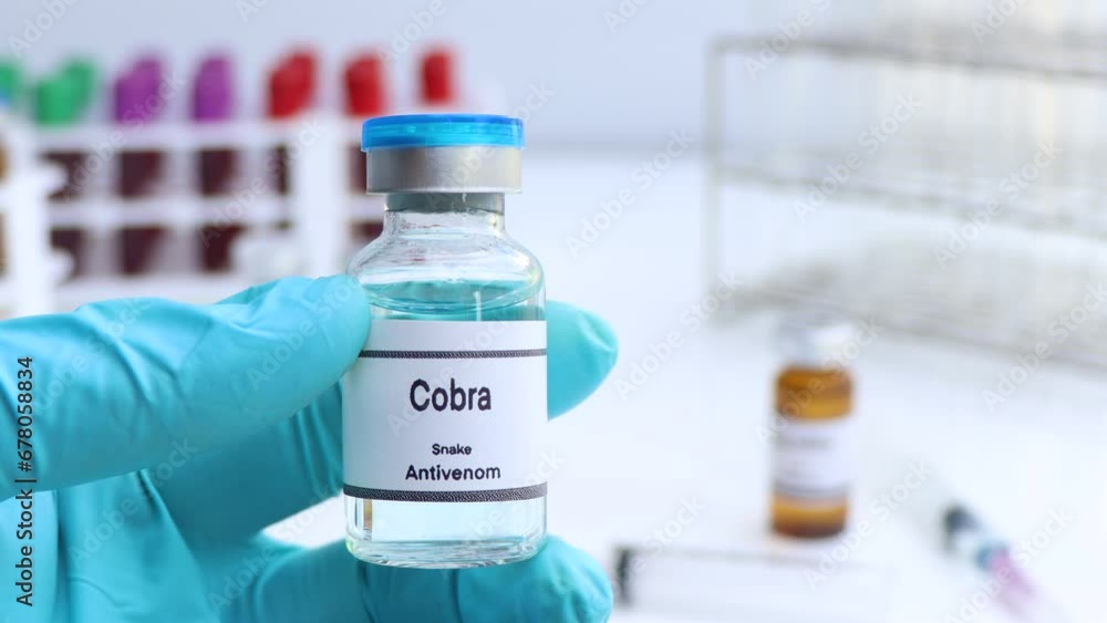 Cobra, Snake antivenoms in a vial, Serum for injection to prevent venom from snake bites, laboratory background Cobra, Snake antivenoms in a vial, Serum for injection to prevent venom from snake bites, laboratory background