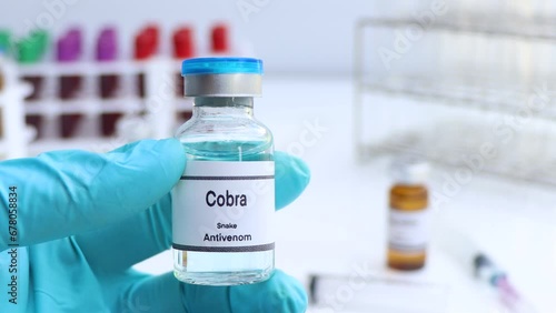 Cobra, Snake antivenoms in a vial, Serum for injection to prevent venom from snake bites, laboratory background  photo