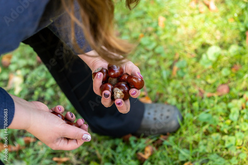 Eine Hand voller Kastanien im Herbst photo