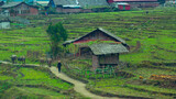 Daily life of Farmer at the rice terraces.