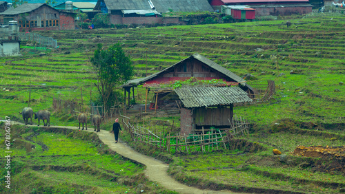 Daily life of Farmer at the rice terraces.