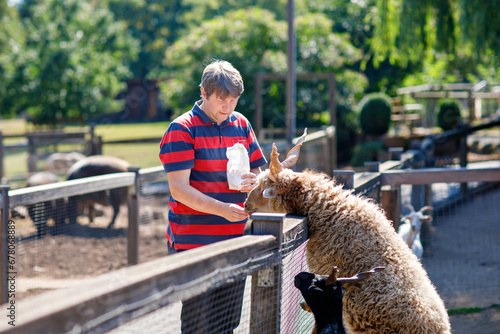 Man feeding goats at petting zoo on summer day.