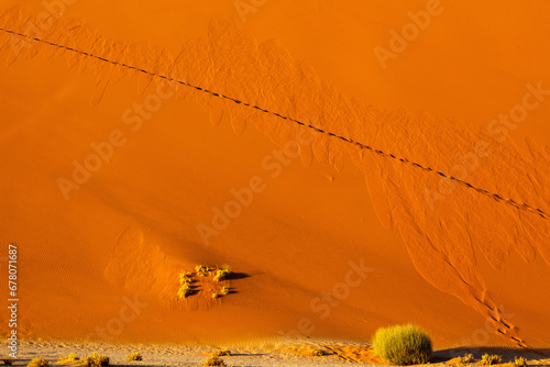 footprint in a dune in Sossusvlei national park, Namibia photo