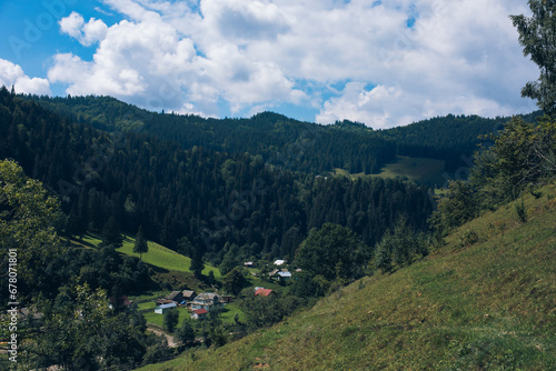Wallpaper Mural Mysticism and mystery of the Ukrainian Carpathian forest Torontodigital.ca