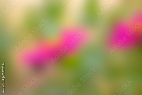 Blurred peaceful nature flowers background .Defocused pink flowers background .