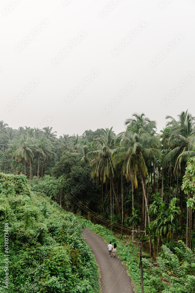 Fototapeta premium rice terraces in island