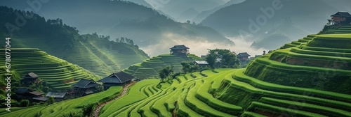 Panoramic view of terraced ricefields in green valley misty morning photo