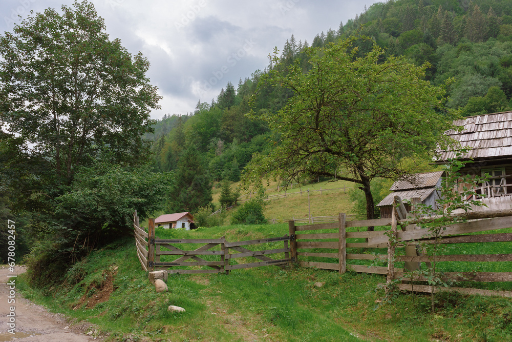 Mysticism and mystery of the Ukrainian Carpathian forest Mysticism and mystery of the Ukrainian Carpathian forest