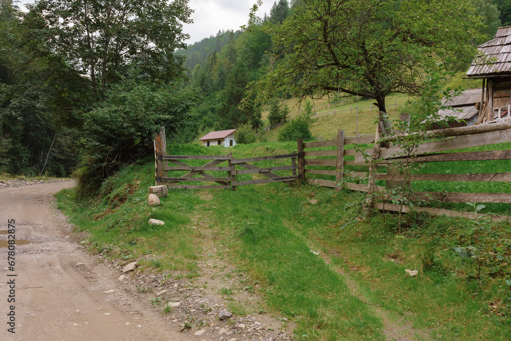 Mysticism and mystery of the Ukrainian Carpathian forest Mysticism and mystery of the Ukrainian Carpathian forest