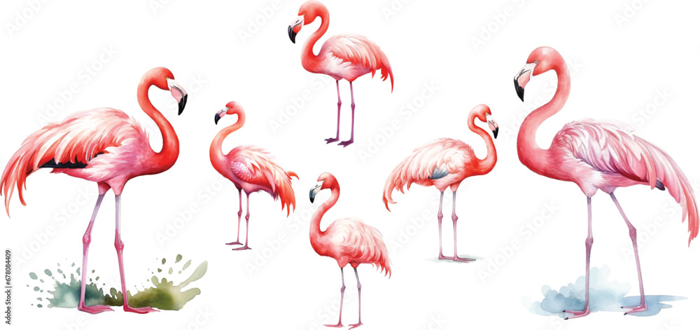 Obraz premium set watercolor flamingo on white background, cute, childish style drawing.