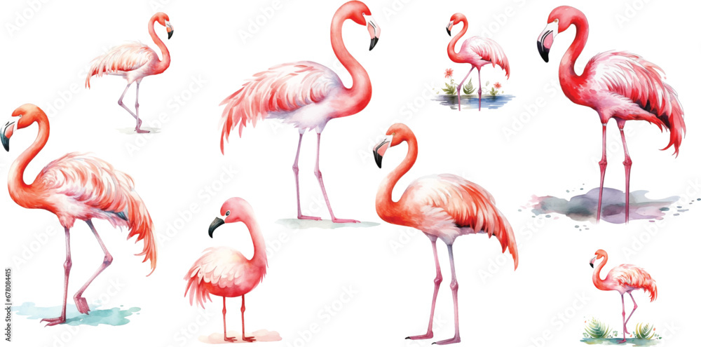 Obraz premium set watercolor flamingo on white background, cute, childish style drawing.