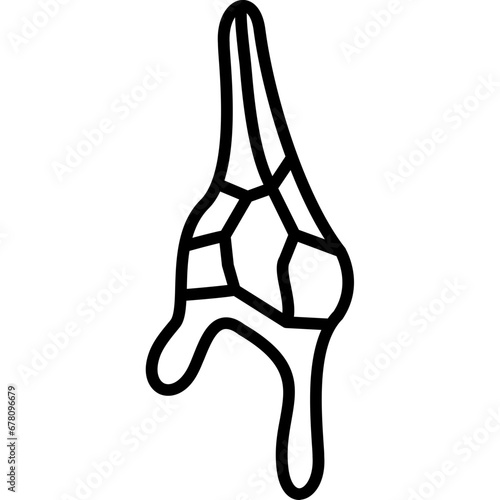 Ceratium Dinoflagellate Icon