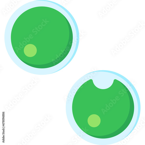 Chlorella Vulgaris Icon