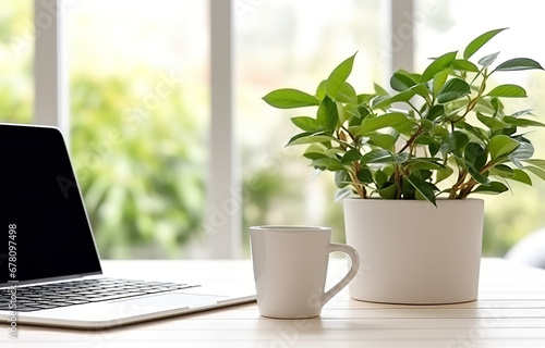 Laptop profile view, cup black coffee, plant herb, on white wooden table